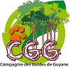 Logo CGG