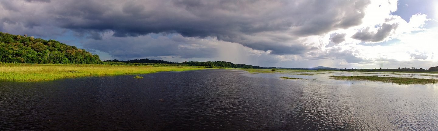 Marais de Kaw - Photo Philippe PIGREE